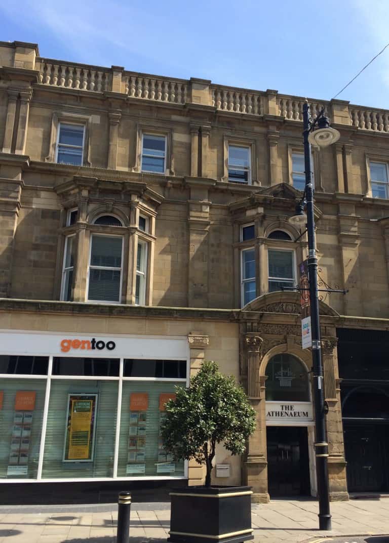 Fawcett Street Seagull City