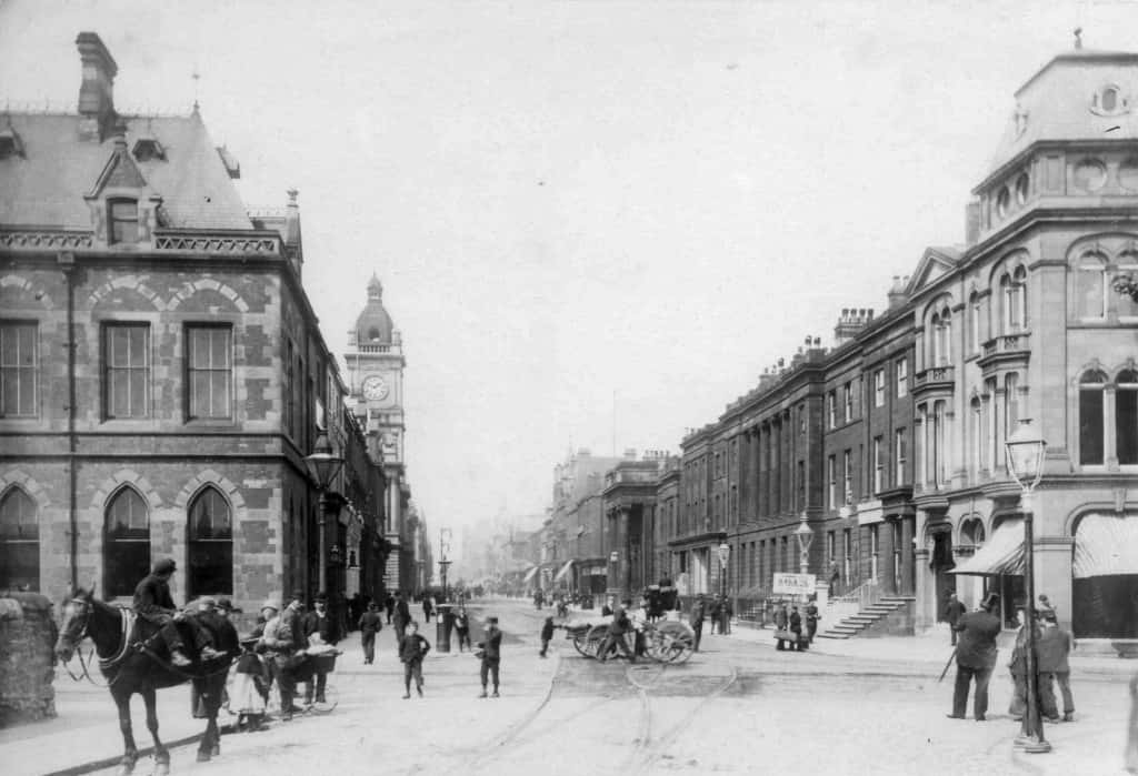 Fawcett Street Seagull City