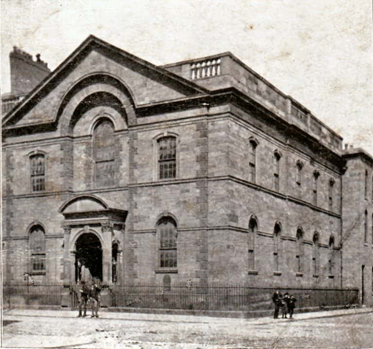 Fawcett Street Seagull City