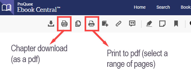 ebook-central-icons screenshot of print icons on ebook central