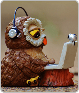 Image: Owl wearing headphones