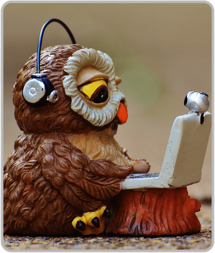 Image: Owl wearing headphones