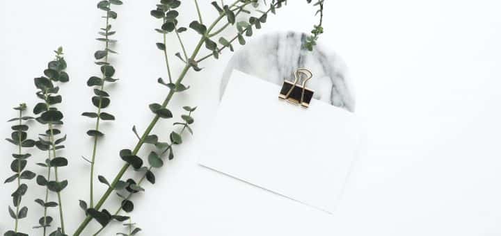 Green office events MICE white office with plant