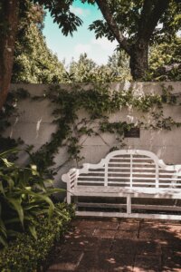 empty seat in garden with trees